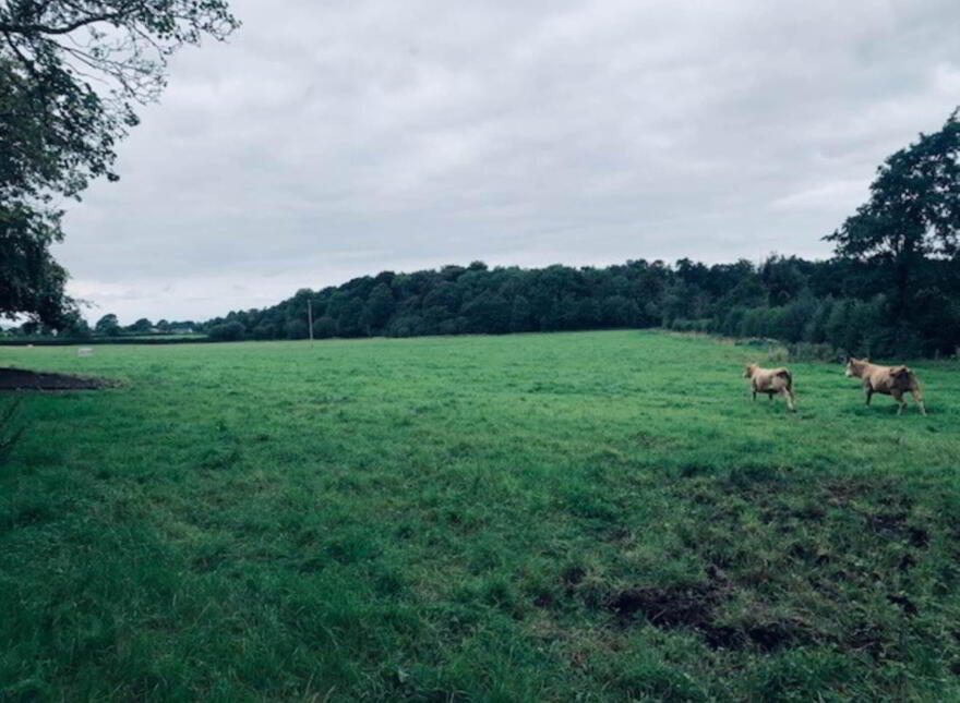 22.23 Ha Mea Or 54.93 Acres ( 60 Acres Per Folio), Millbrook, Ballinacl...Nenagh