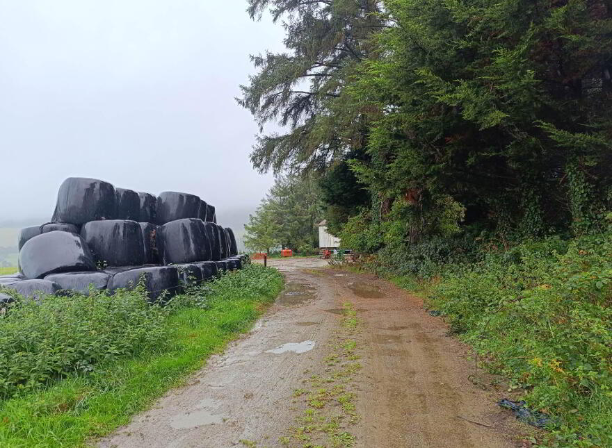 Ballinacourty, Kilfinane