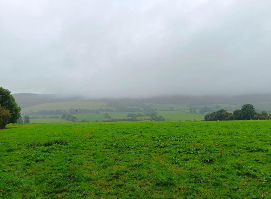 Ballinacourty, Kilfinane