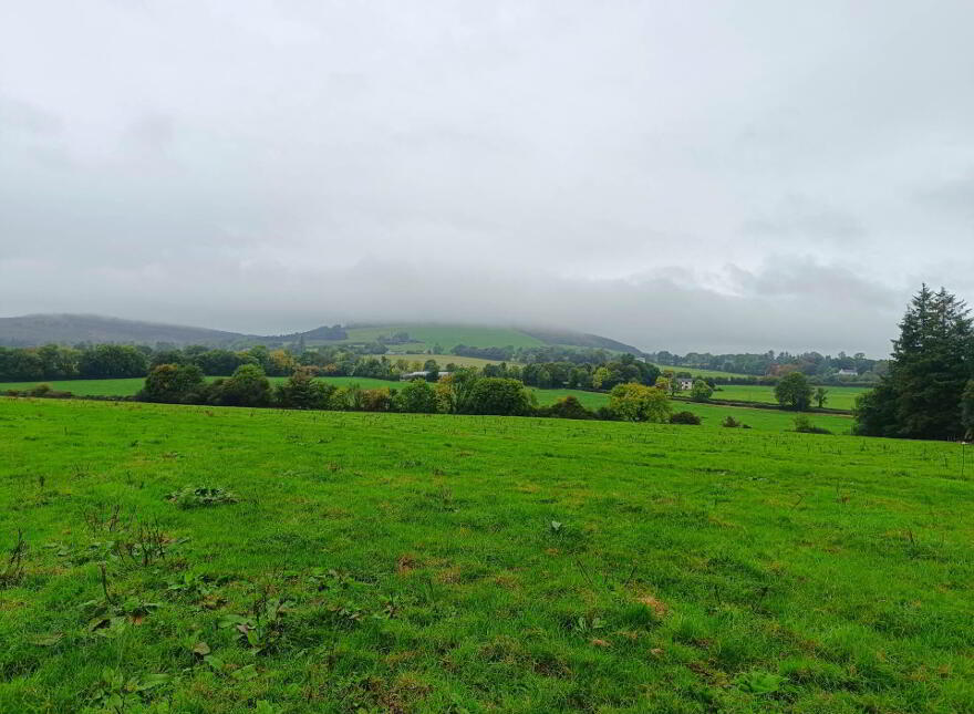 Ballinacourty, Kilfinane