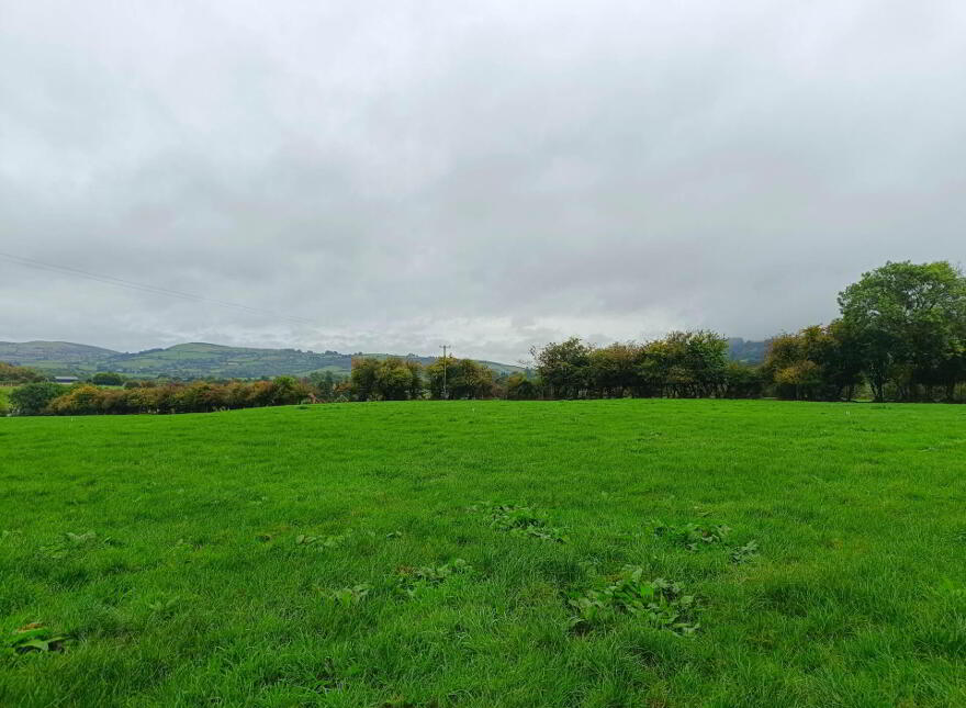 Ballinacourty, Kilfinane