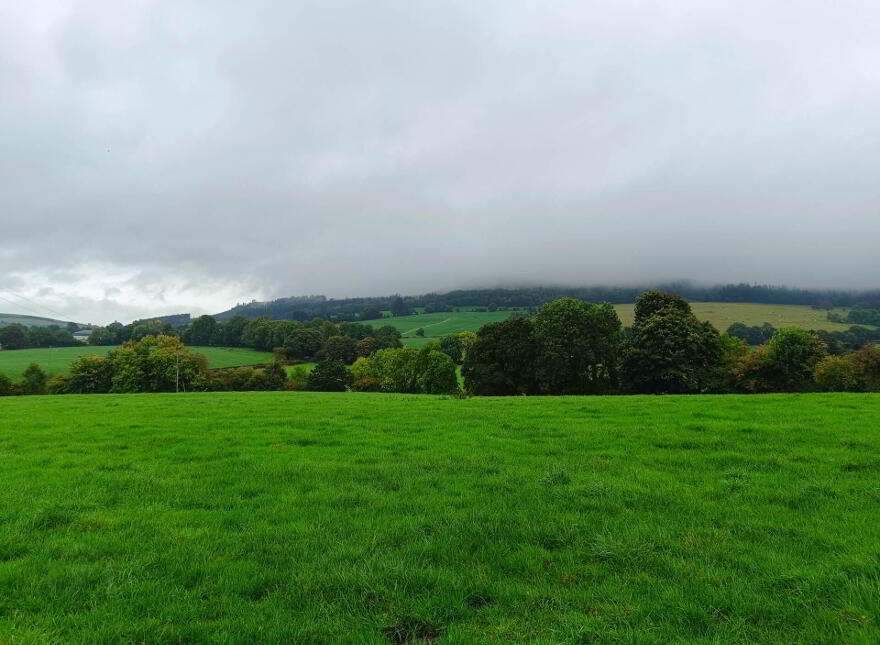 Ballinacourty, Kilfinane