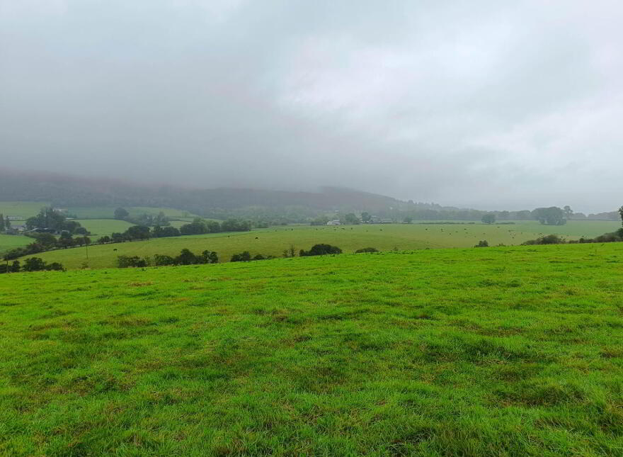 Ballinacourty, Kilfinane