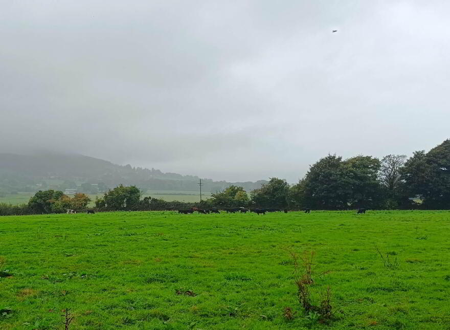 Ballinacourty, Kilfinane