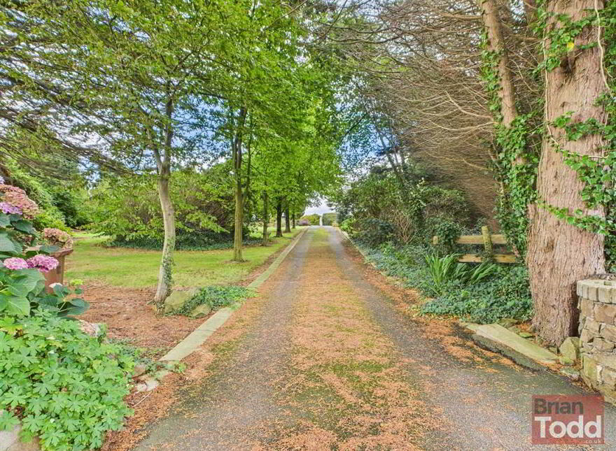 Drumahoe Road, Millbrook, Larne, BT40 2SN