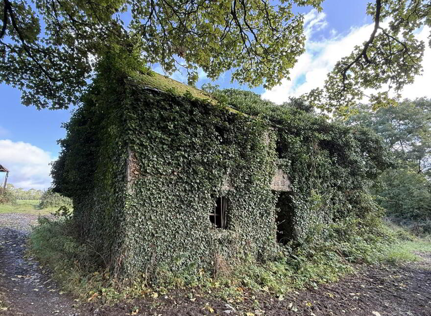 Ballyluskey, Drangan