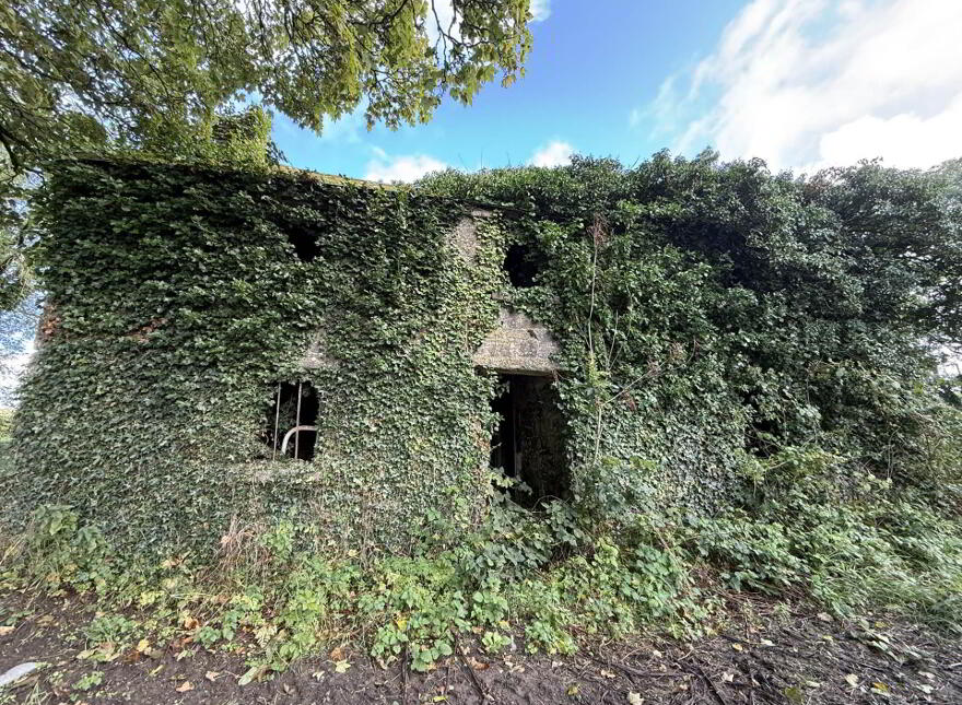 Ballyluskey, Drangan