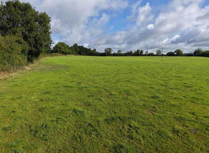 Ballyluskey, Drangan