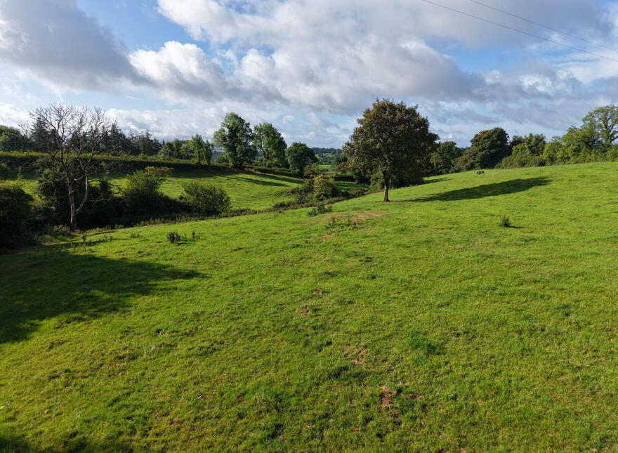 Ballyluskey, Drangan