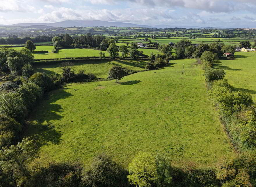 Ballyluskey, Drangan