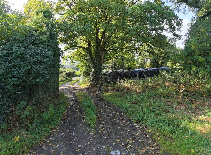 Ballyluskey, Drangan