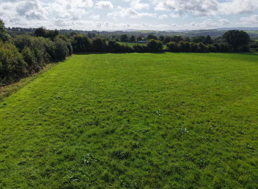 Cloughtaney, Drangan