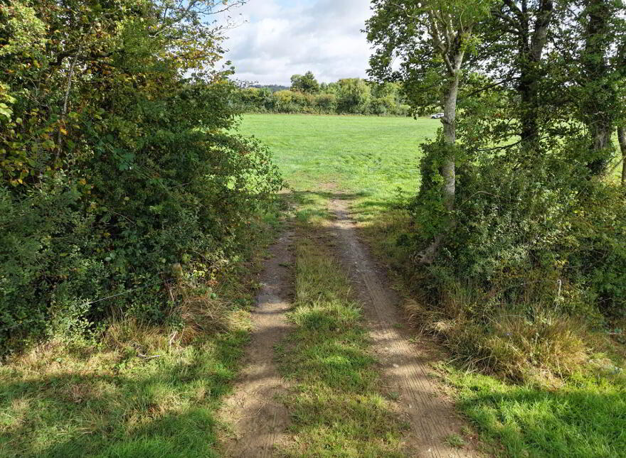 Newtowndrangan, Drangan
