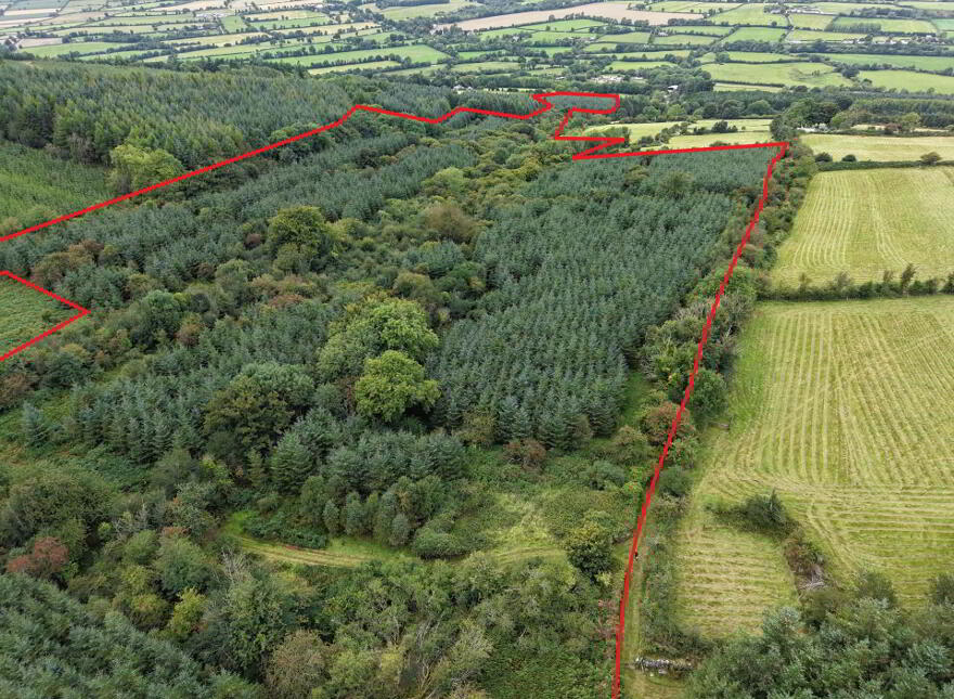 Cappadrummin, Killusty, Fethard