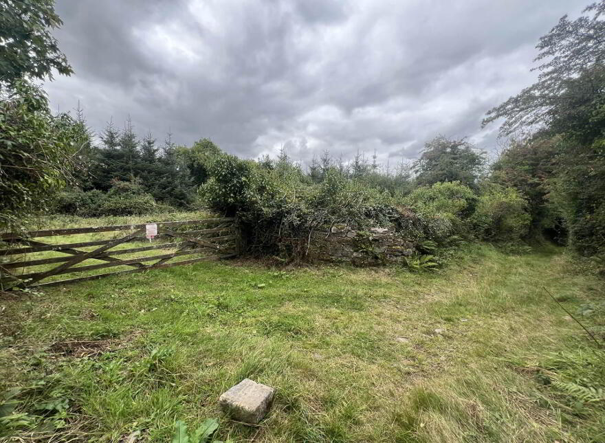 Cappadrummin, Killusty, Fethard