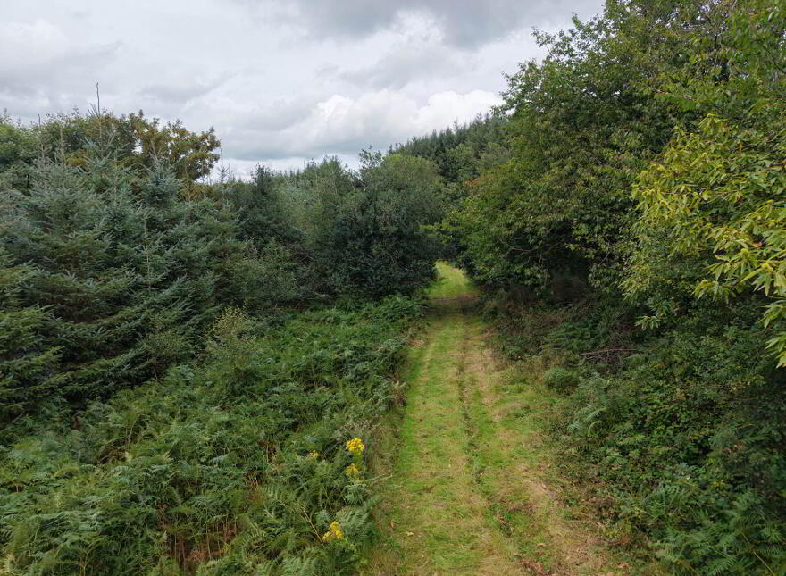 Cappadrummin, Killusty, Fethard