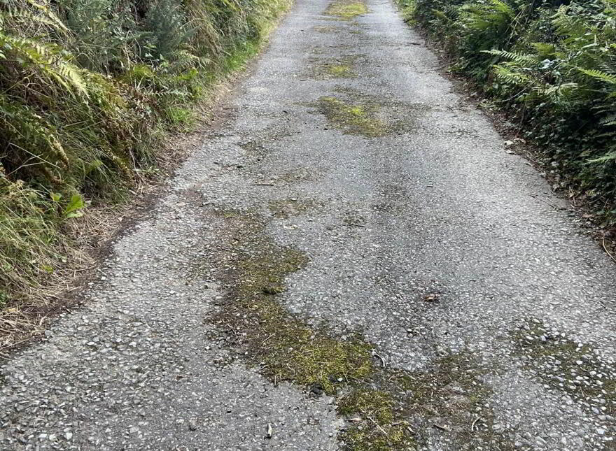 Cappadrummin, Killusty, Fethard