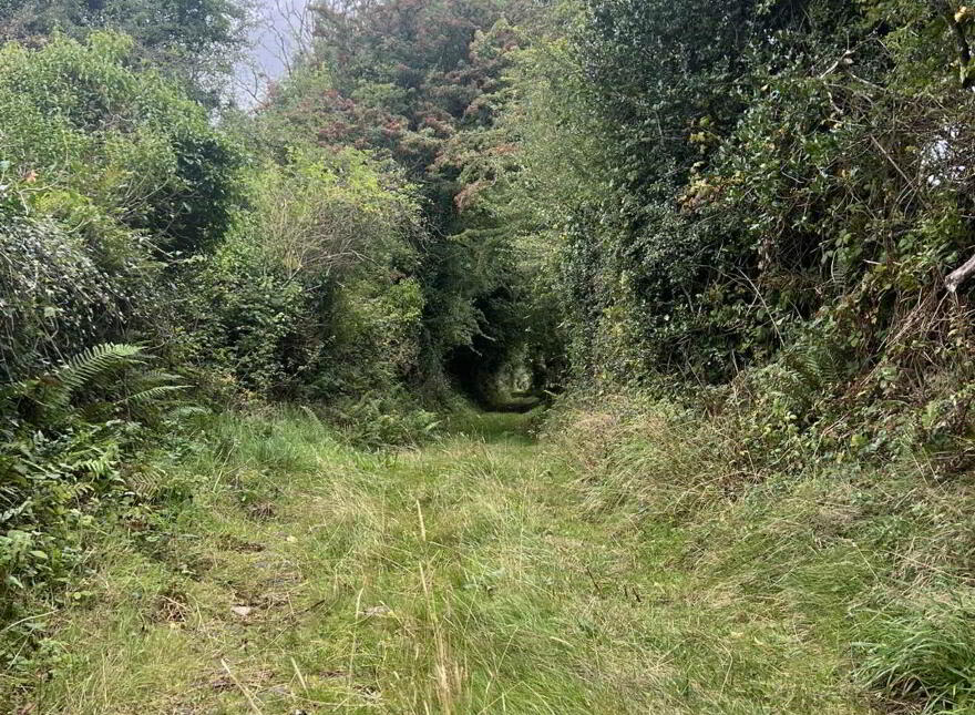 Cappadrummin, Killusty, Fethard