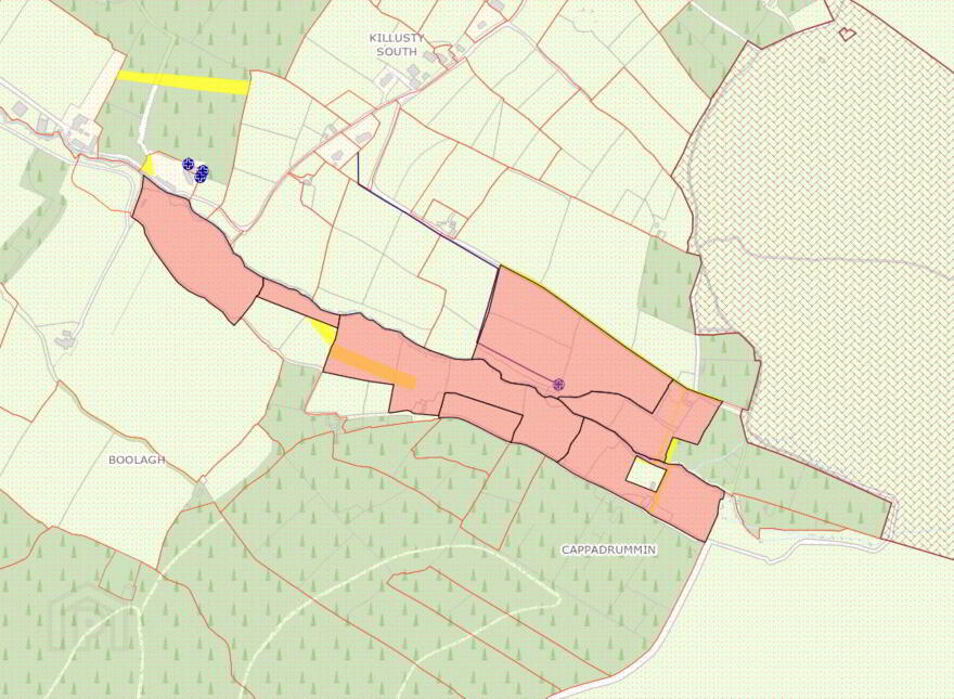 Cappadrummin, Killusty, Fethard