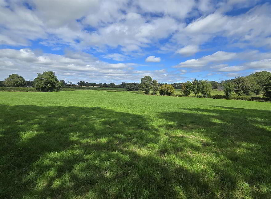 66 Townhill Road, Portglenone, Ballymena, BT44 8AG