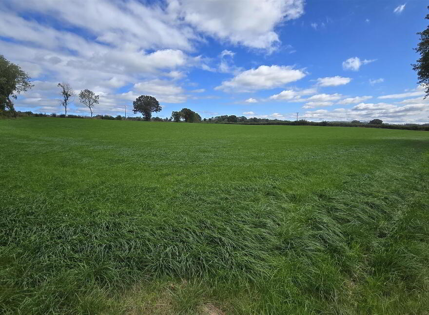 3, Land, Townhill Road, Ballymena, BT44 8AG
