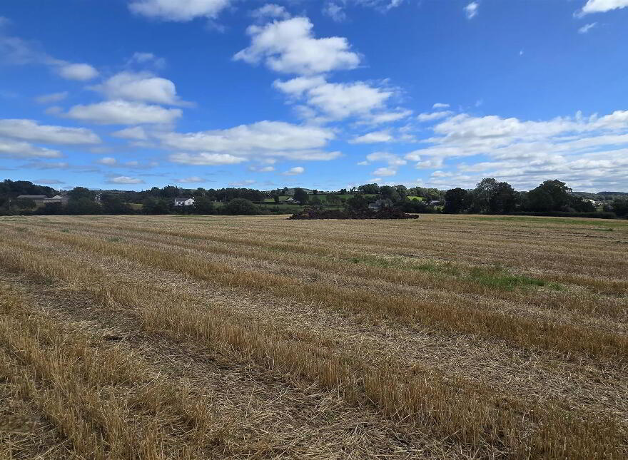 3, Land, Townhill Road, Ballymena, BT44 8AG