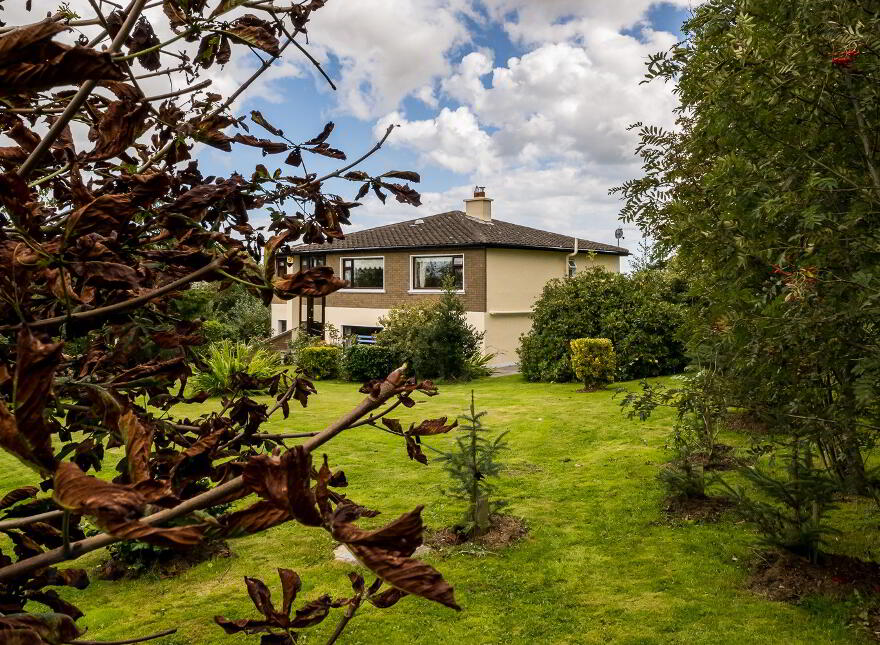 Lisdornan, Bellewstown, A92F9N2