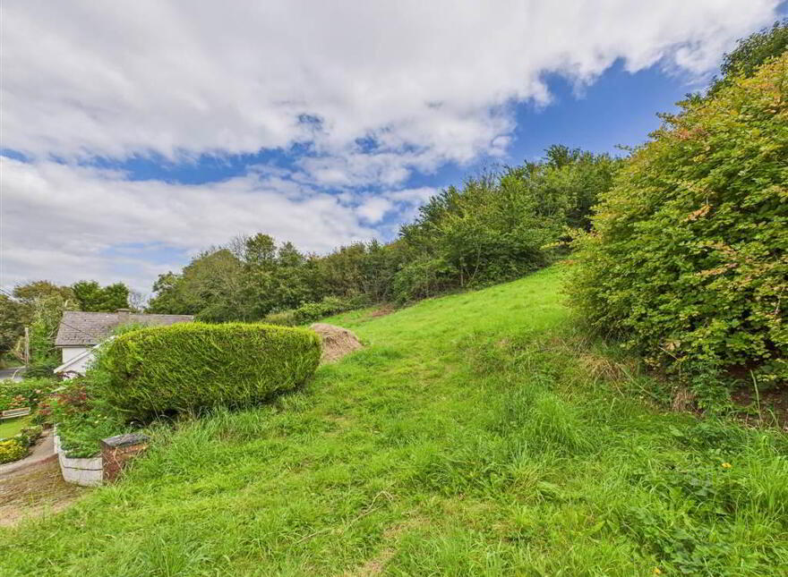 Ballyglan, Woodstown, X91YD89
