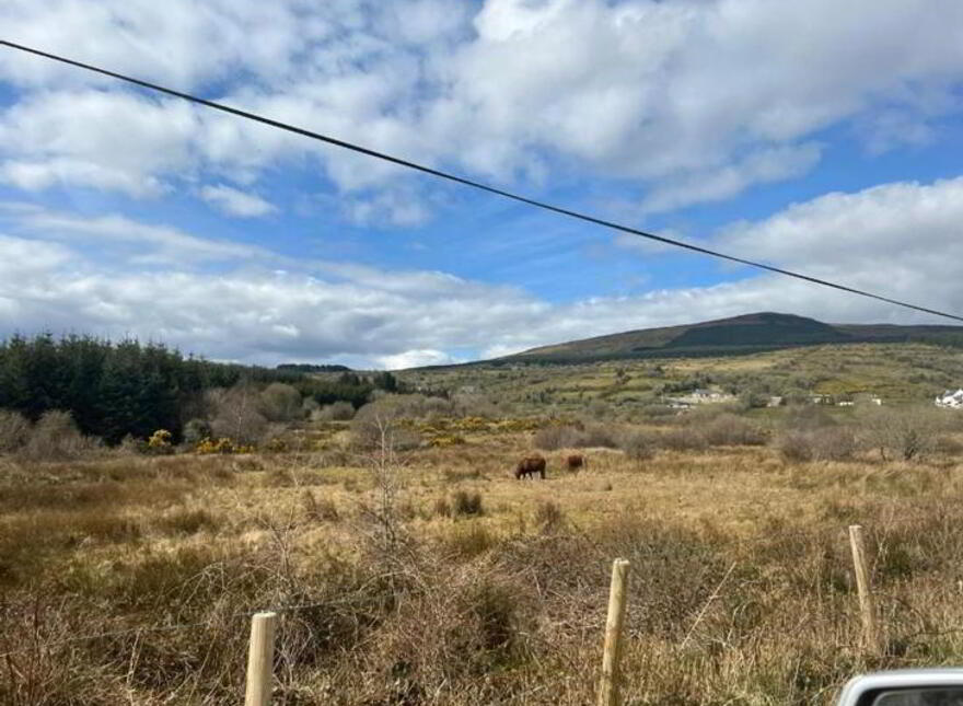 Mullaghgarve, Aughacashel, Drumshanbo, Leitrim, N41CC82