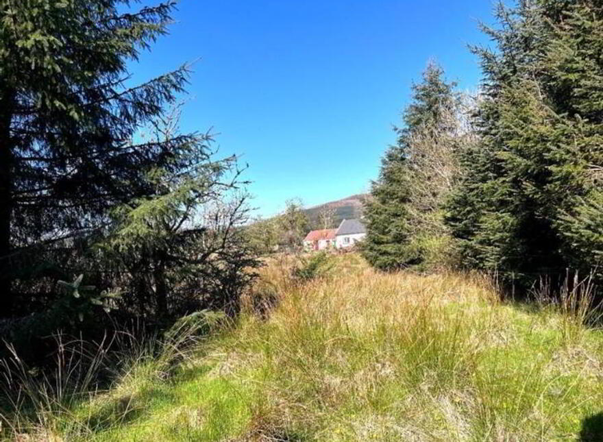 Mullaghgarve, Aughacashel, Drumshanbo, Leitrim, N41CC82