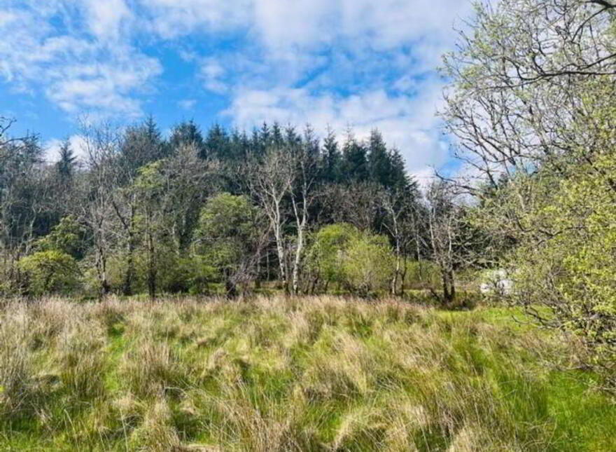 Mullaghgarve, Aughacashel, Drumshanbo, Leitrim, N41CC82