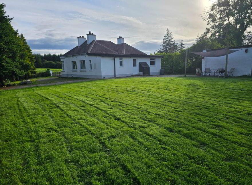 Newtown, Ballyhaunis, Cloonfad, F35Y090