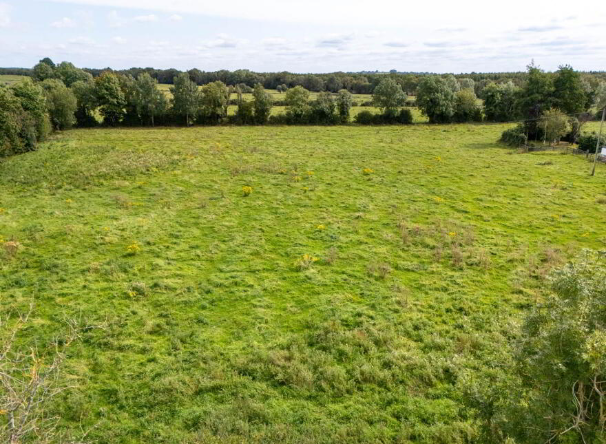 Woodfield, Clara