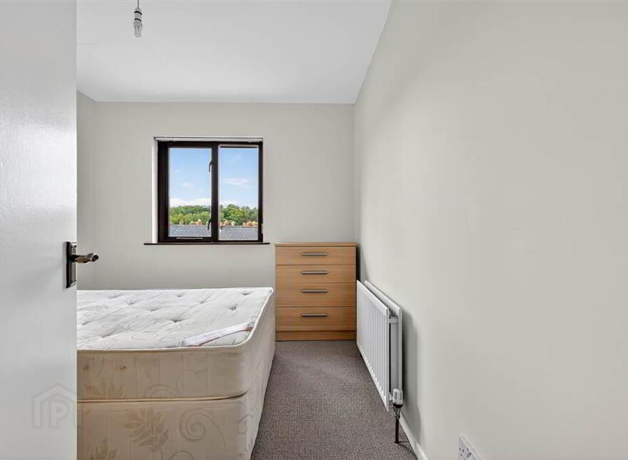17 Lockside Court, Off Lockview Road, Stranmillis, Belfast, BT9 5GQ
