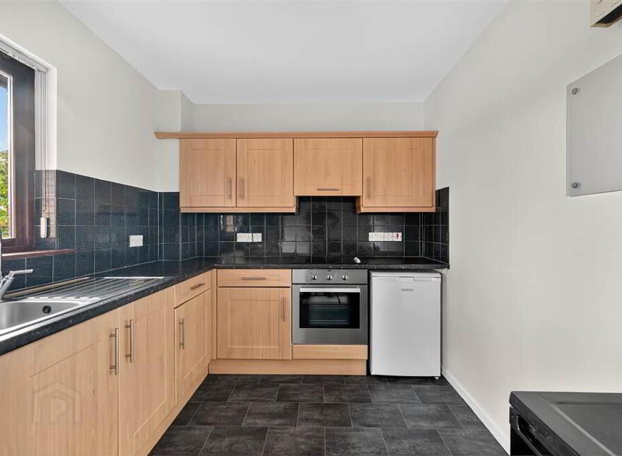 17 Lockside Court, Off Lockview Road, Stranmillis, Belfast, BT9 5GQ