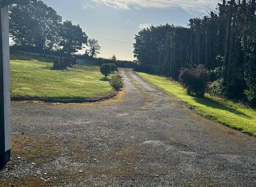 Newcastle, Blarney