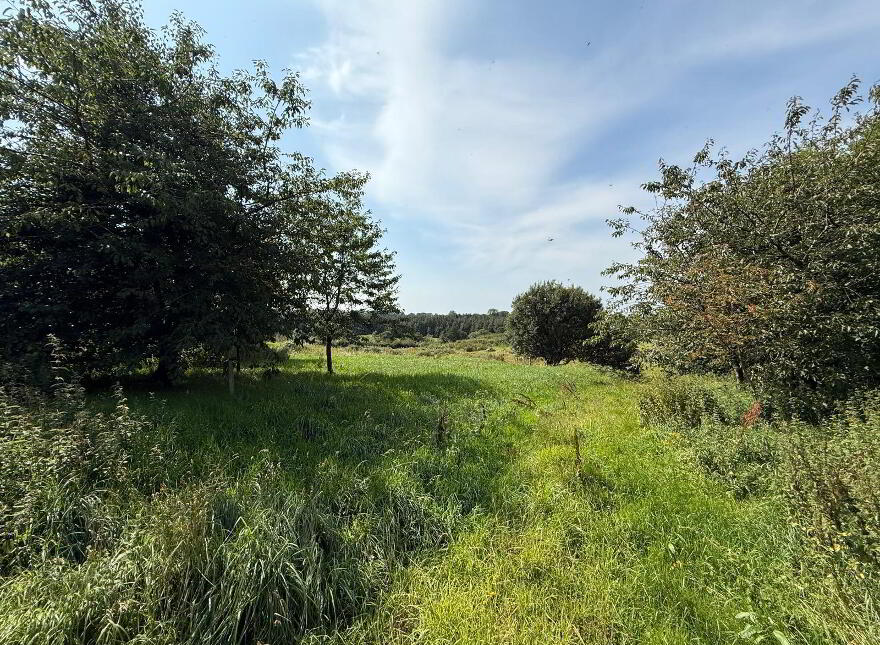 1 Acre Site With Subfloor, Lisnamurrican Ave, Lisnamurrican Rd, Brou...Ballymena, BT42 4PN