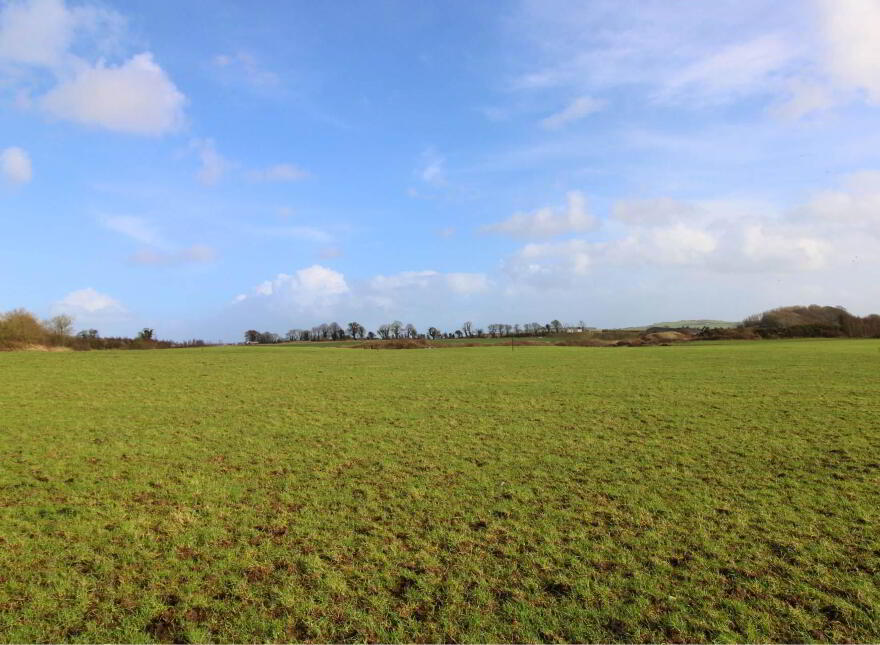 53.62 Acres Coolderry, Ardcroney, Nenagh