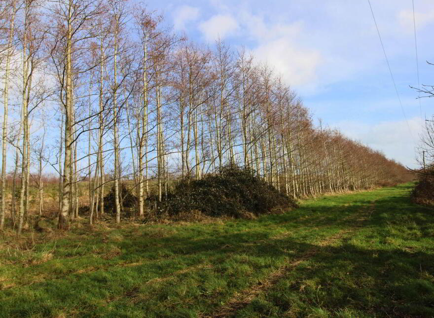 53.62 Acres Coolderry, Ardcroney, Nenagh