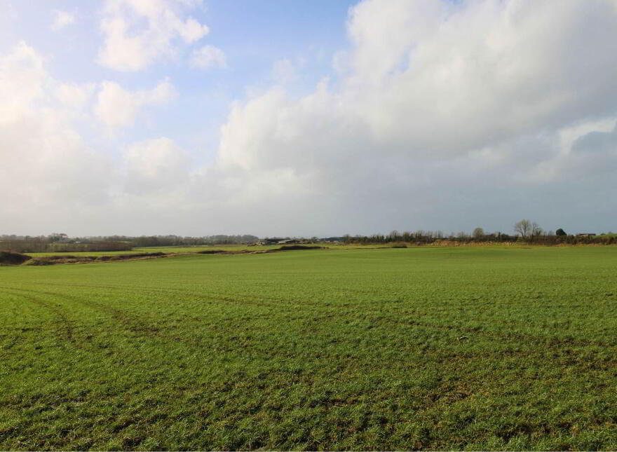 53.62 Acres Coolderry, Ardcroney, Nenagh photo