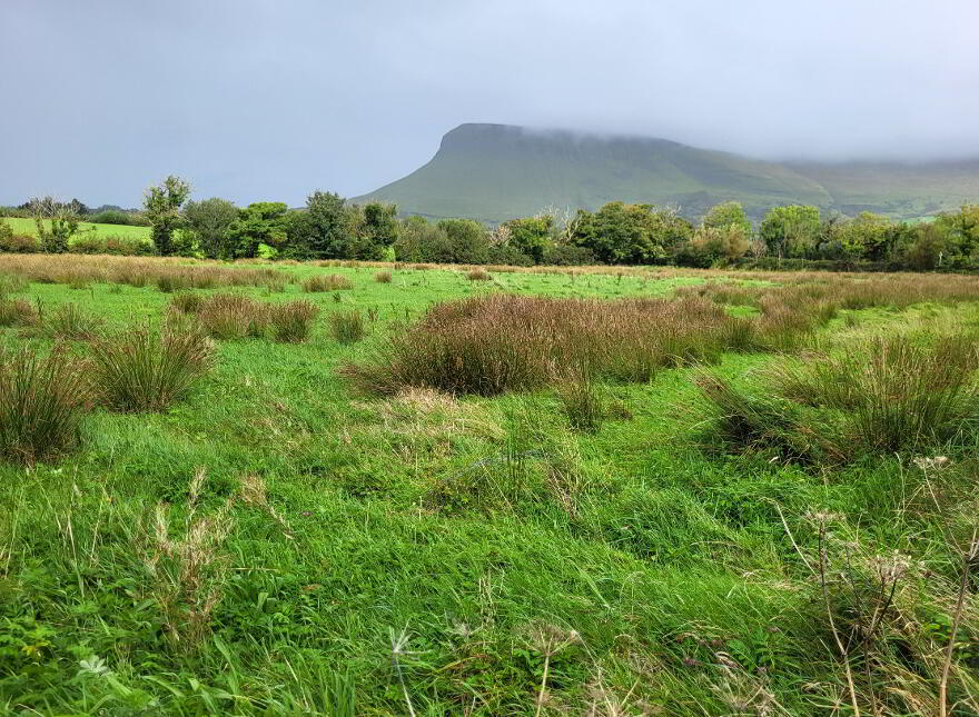 Urlar House, Urlar, Carney, F91D820