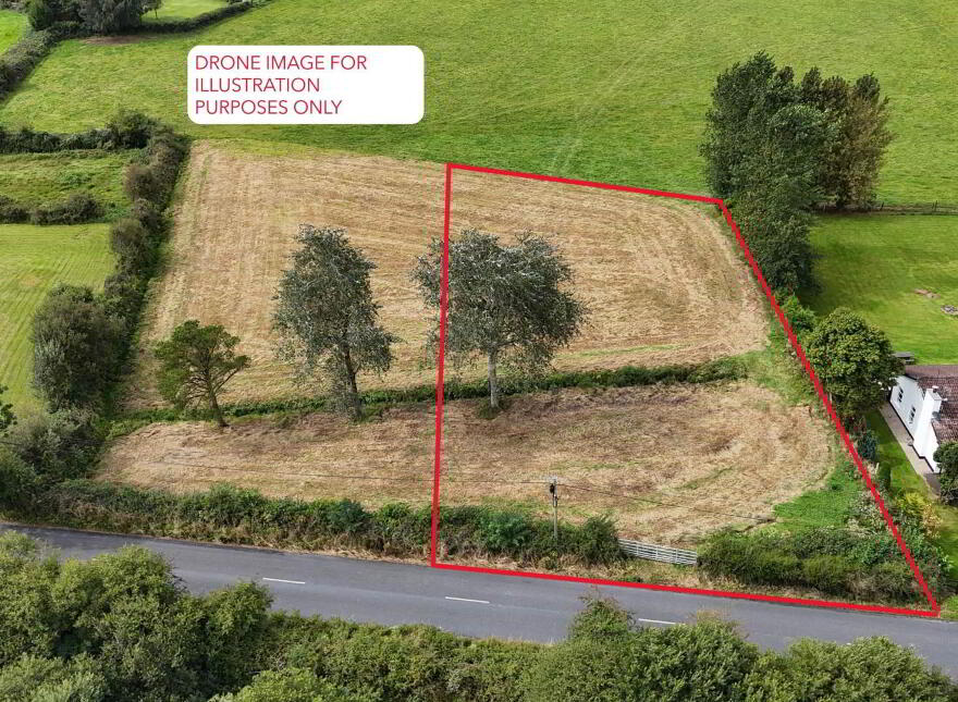 Murroe Wood, Murroe photo
