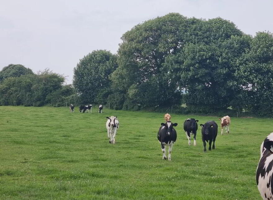 Ballyanahan, Kildorrery