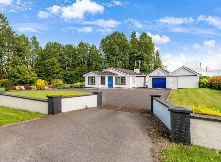 Newtownmoynagh, Trim, C15K253