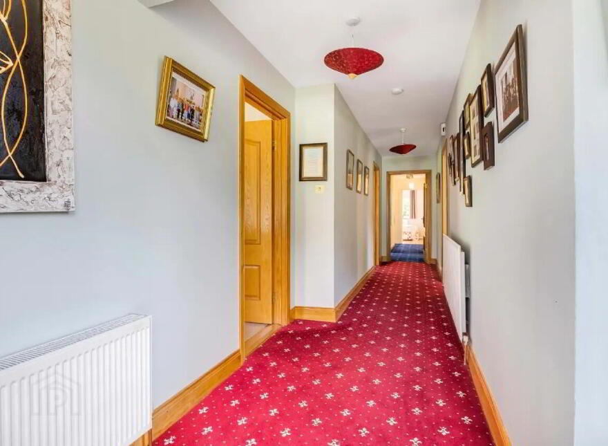 Newtownmoynagh, Trim, C15K253
