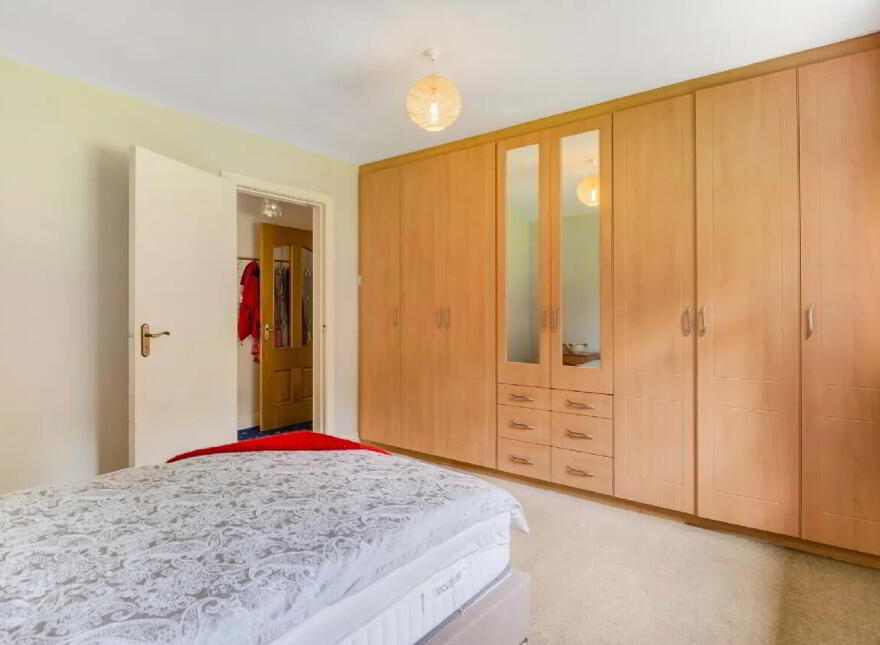 Newtownmoynagh, Trim, C15K253