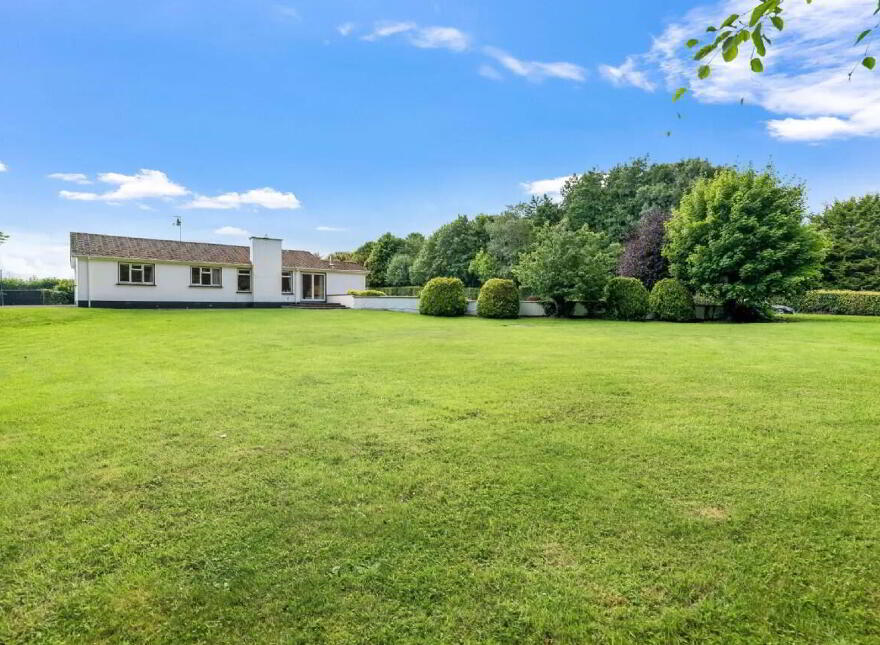 Newtownmoynagh, Trim, C15K253