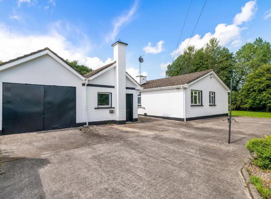 Newtownmoynagh, Trim, C15K253