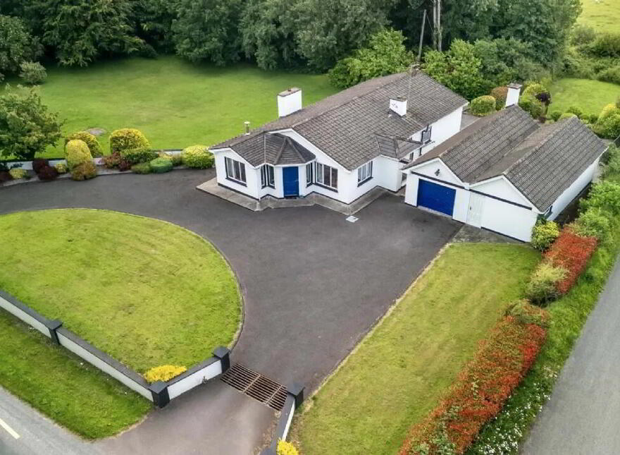 Newtownmoynagh, Trim, C15K253