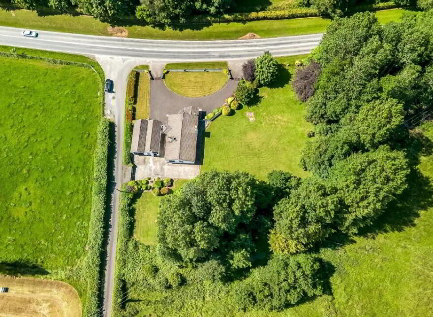 Newtownmoynagh, Trim, C15K253